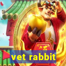 vet rabbit